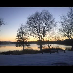 Meet your Posher, Sydney